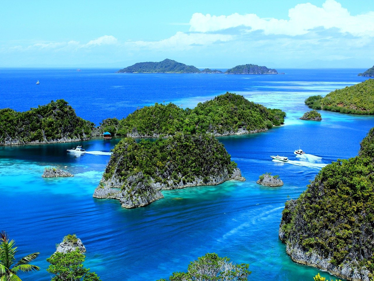 Papua New Guinea
