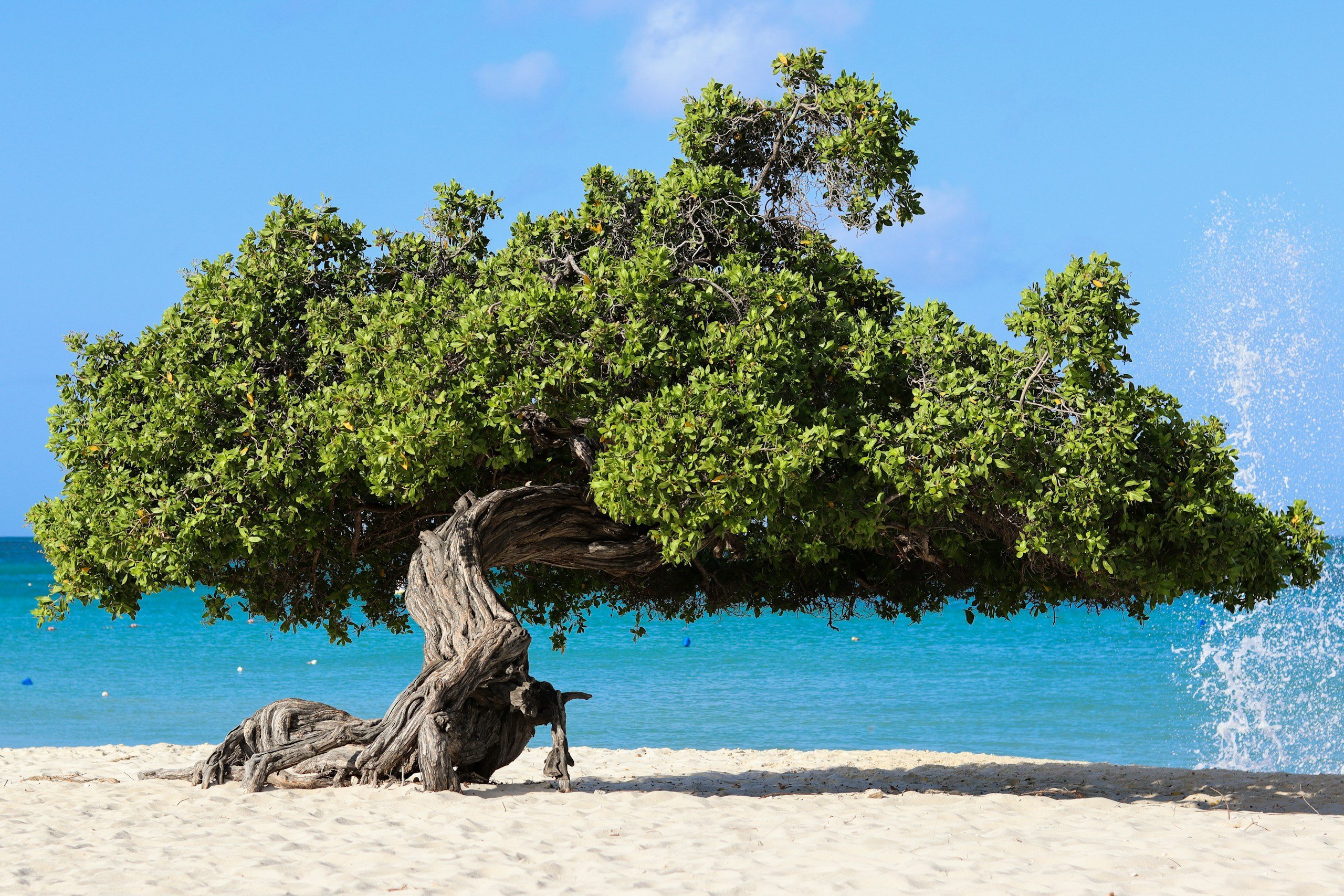 Aruba, Aruba yacht charter