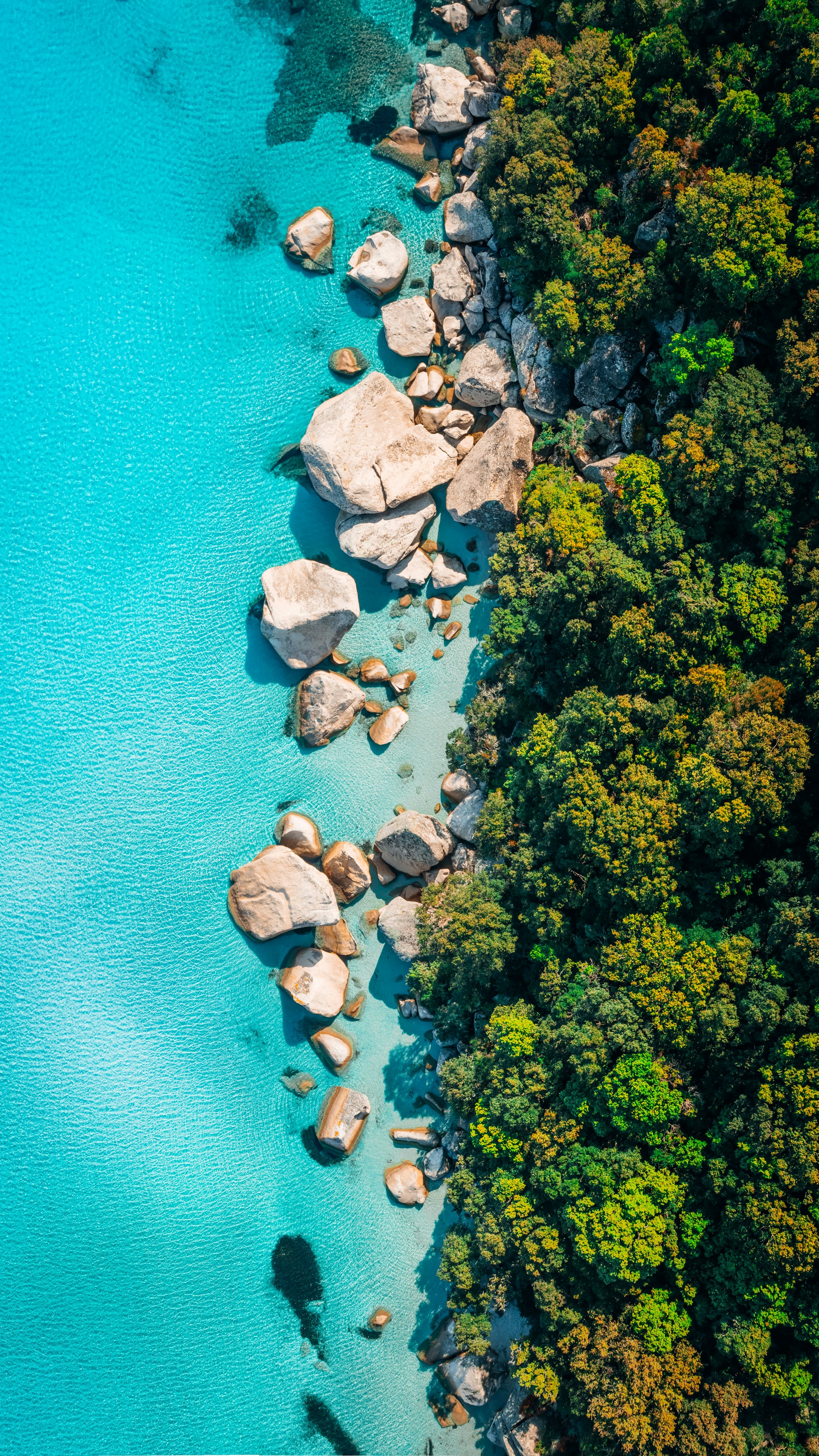 maxandre-brunet-yXN-ffcDdLQ-unsplash (1).jpg