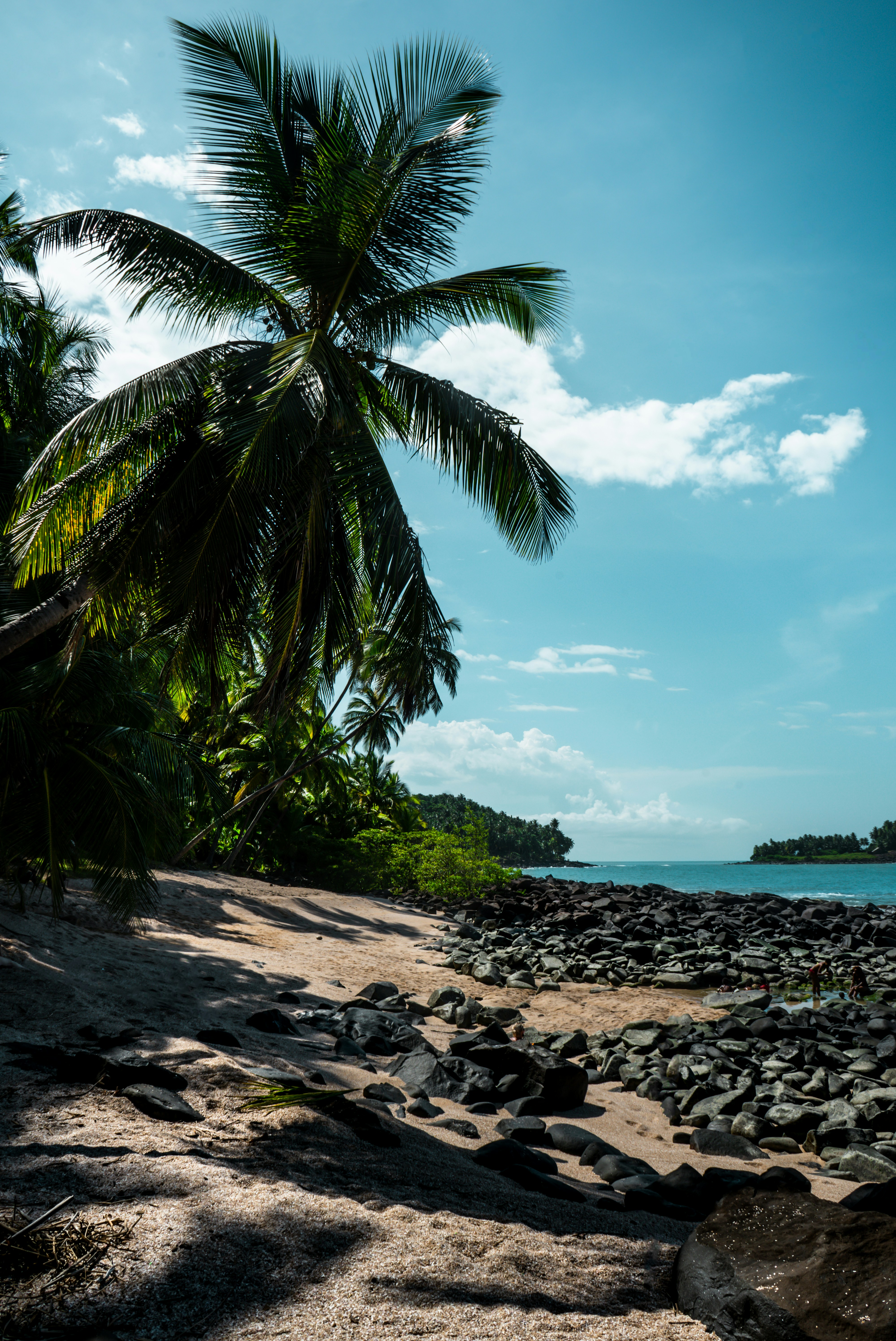 flow-flo-1f6xwCqBSTo-unsplash (1).jpg