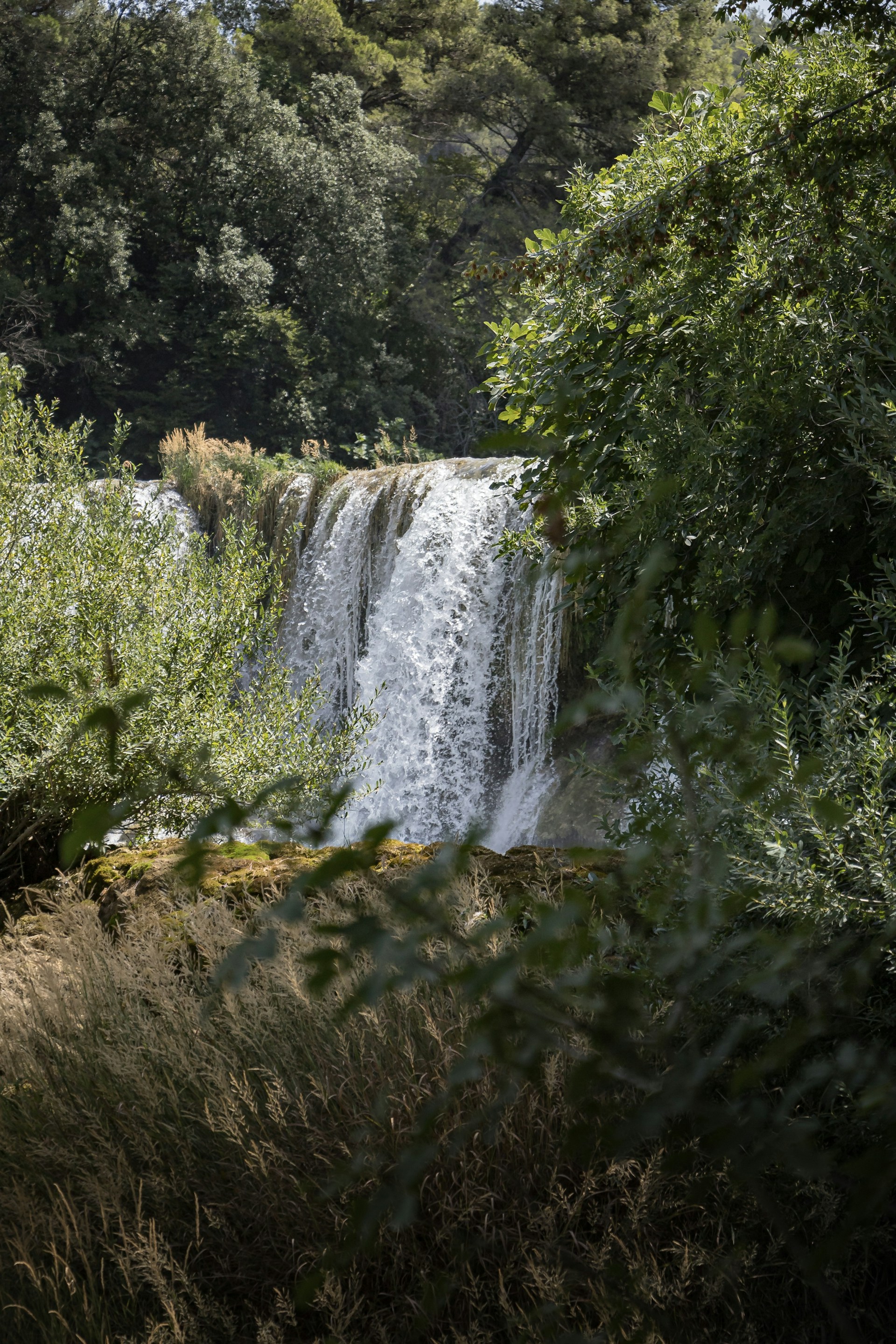 remy-penet-PPLrSniGrro-unsplash.jpg