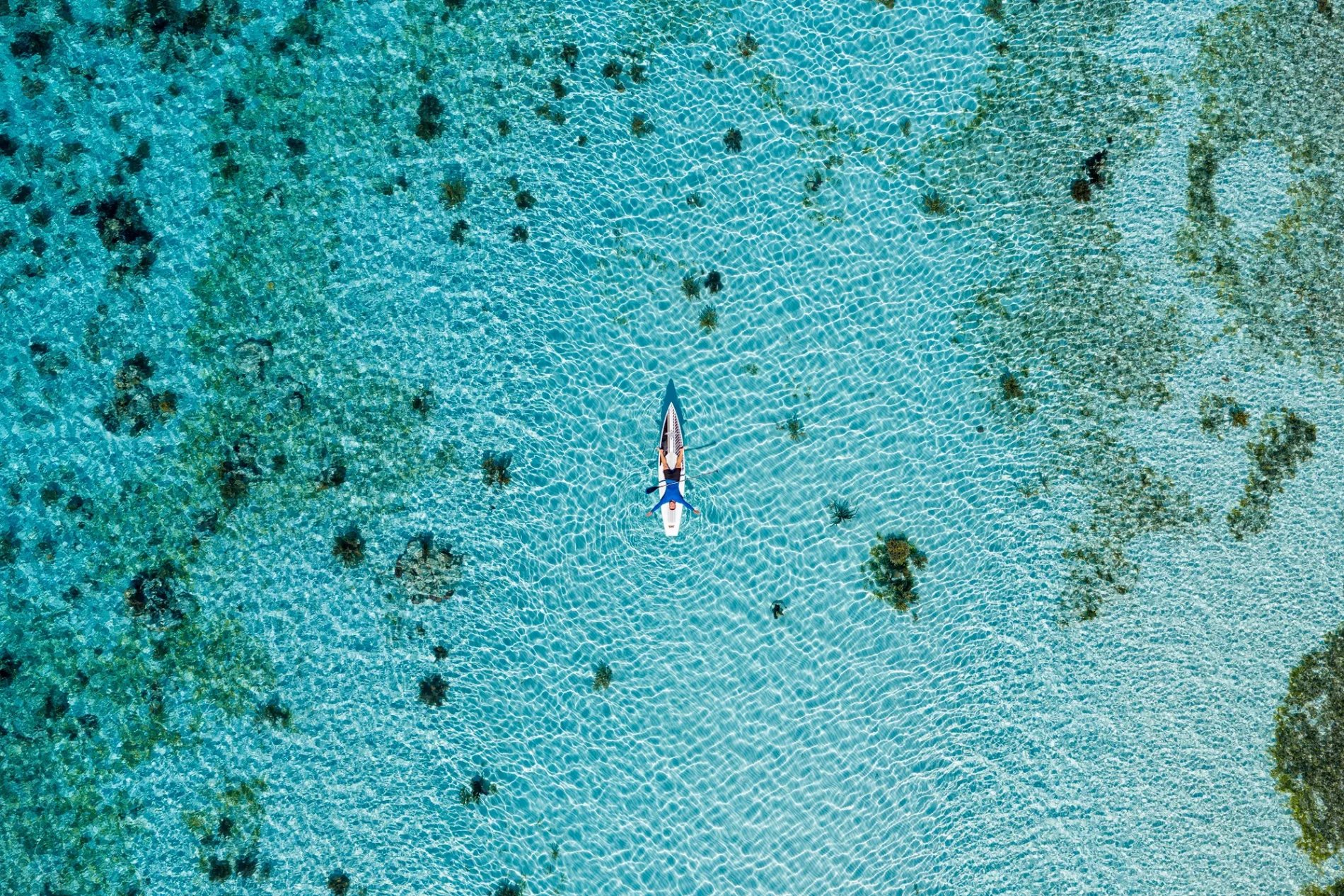 PLANET NINE yacht detail photo